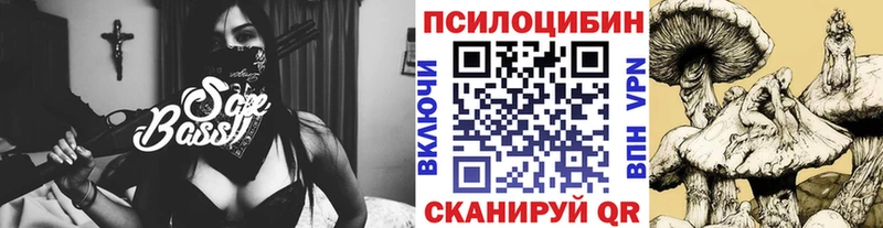 Галлюциногенные грибы Psilocybine cubensis  где можно купить   Иланский 